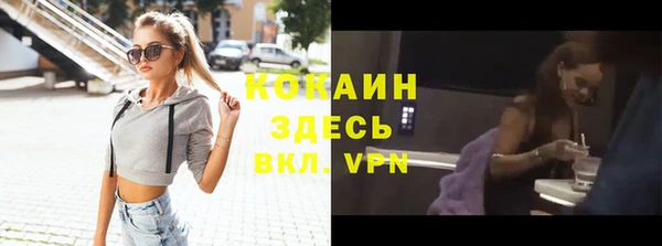 твердый Аркадак