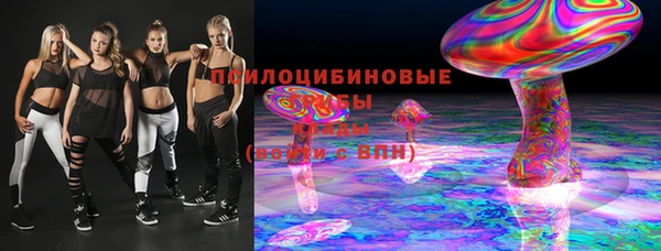 твердый Аркадак
