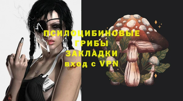 бошки Зеленодольск