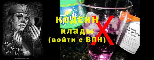 твердый Аркадак